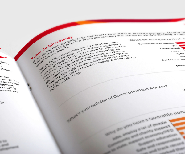 ConocoPhillips report data visualization page